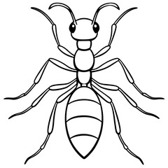 Fire Ant line art vector
