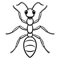 Fire Ant line art vector
