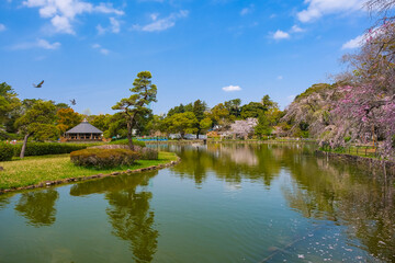 Obraz premium 千葉市 春の千葉公園