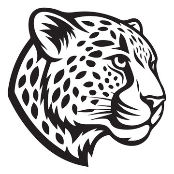 tigar vactor art illustration