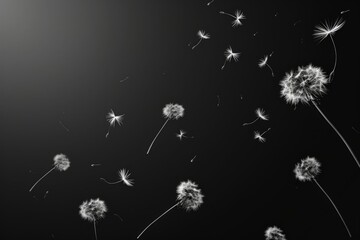 flying white dandelion seeds