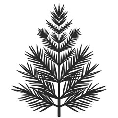Pine sapling silhouette with sharp needles