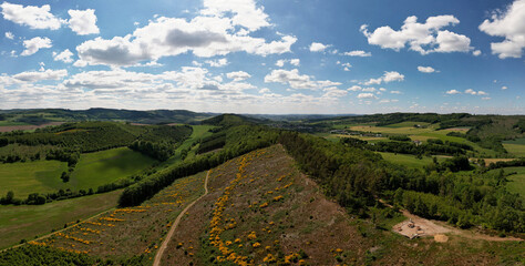 Fototapety na wymiar - Fototapeta24.pl