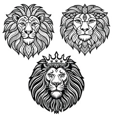 Lion Head Vector
