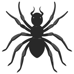 Obraz premium Cartoon Black Devil Spider With Horns Isolated On White Background