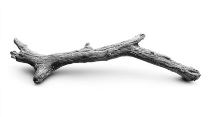 Fototapeta premium a dead tree branch isolated on a white background