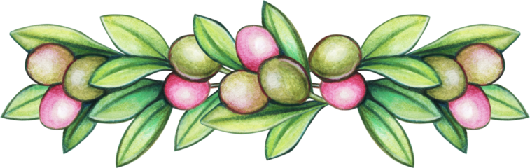 Watercolor hand drawn mediterranean olives and lemnons