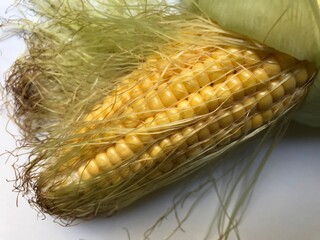 corn