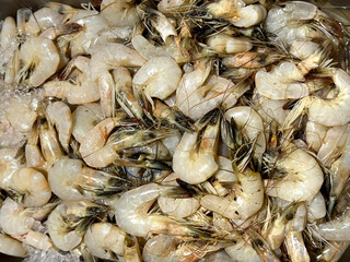 Close up of fresh raw shrimp displayed on a basket at a local market. Shrimp ready to be cooked in a food, a typical famous seafood consumed by people. Crustacean animal.