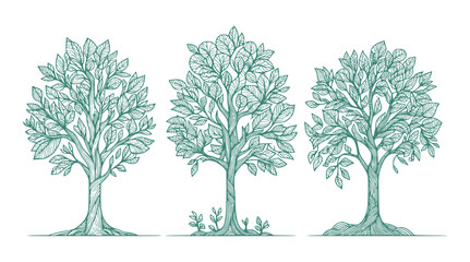 Obraz premium set of green trees