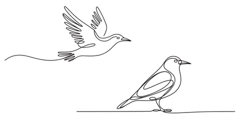 One Line Drawing Minimalist Bird Illustration, Continuous Line Drawing of Birds Perched and in Flight, One Line Drawing of Two Birds Flying and Perched