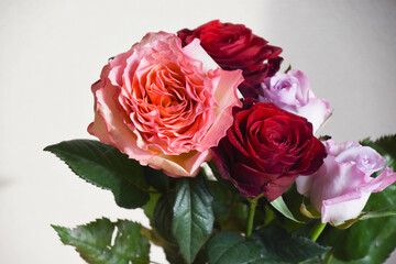 カラフルなばら