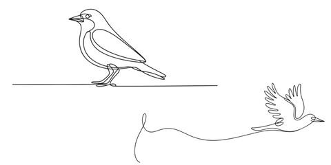 One Line Drawing Minimalist Bird Illustration, Continuous Line Drawing of Birds Perched and in Flight, One Line Drawing of Two Birds Flying and Perched