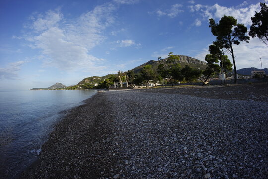 Morinig alk on the beach in Bar, montenegro