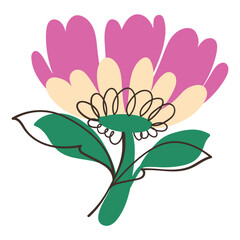 Lovely Pink Flower with Simple Sketch Line Branches. Colorful plant with cute line sketches of branches isolated on white background. Nature herb perfect for invitations, cards, posters, holidays