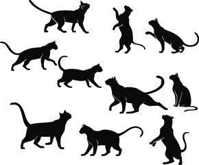 Silhouette cats 