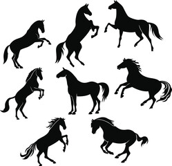 Silhouette horse in different pose
