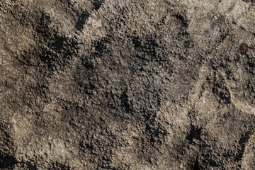vista macro di una superficie rocciosa ruvida, con piccole sporgenze e di colore grigio