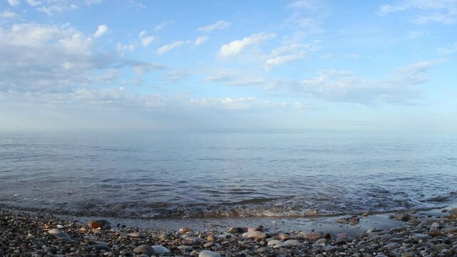 Morinig alk on the beach in Bar, montenegro