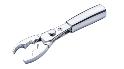 Closeup encounter with tiny wren, exploring the beauty of nature's small wonders