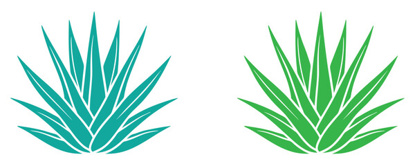 agave plant vector icon, agave logo Isolated on white background