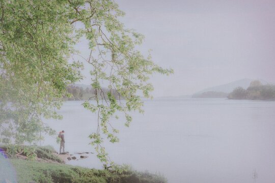 misty morning on the lake