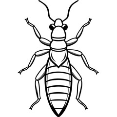 Termite line art vector