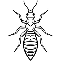 Termite line art vector