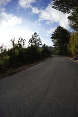 Fototapeta premium Hiking on the road above bar in montenegro