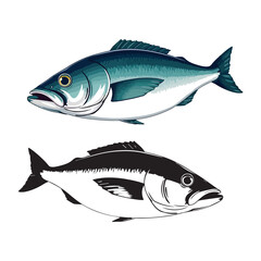 Mackerel fish on white background, seafood