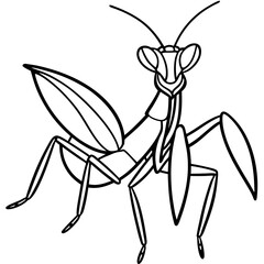 Praying Mantis line art vector