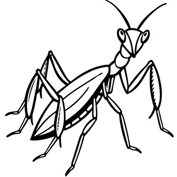 black and white praying mantis drawing clip art preview