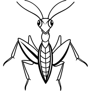 black and white praying mantis outline clip art preview