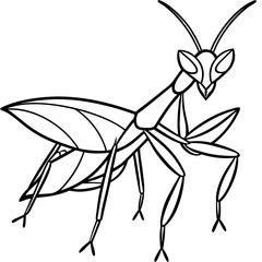 Praying Mantis line art vector