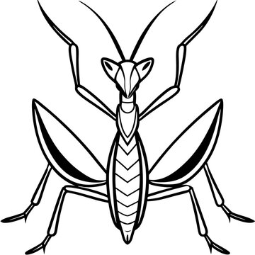 black and white praying mantis outline clip art preview