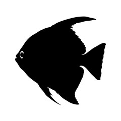 Black silhouette of a marine angelfish tropical fish reef fish ocean fish sea fish aquarium fish