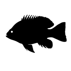 Black crappie fish silhouette vector illustration freshwater fish drawing aquatic life fauna wildlife nature animal