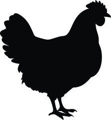 Chicken Silhouette - Minimalist Black and White Poultry