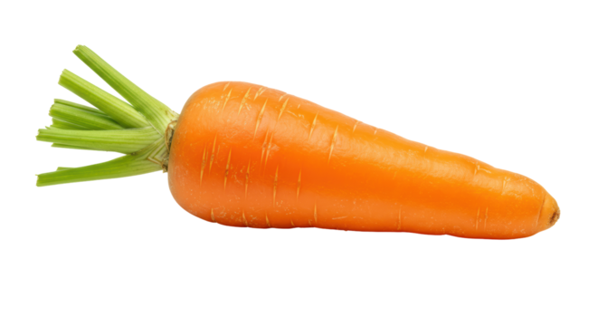 Isolated Fresh Carrot