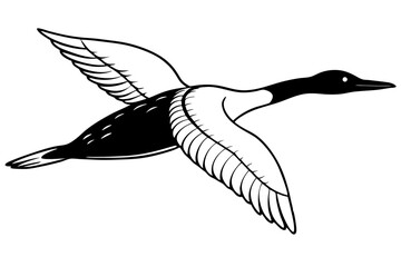 flying loon bird  silhouette