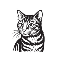 vector illustration of a cat