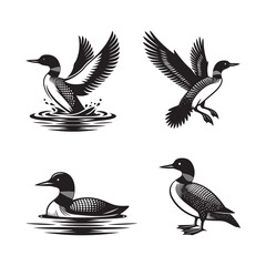 Loon Bird Silhouette Vector Set with White Background 