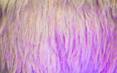 Texture background pattern, purple fur