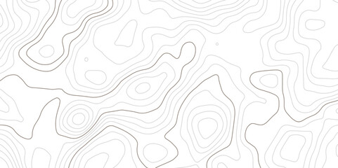  white background with abstract topographic grey contour lines creating a seamless pattern design  A Perfect Fusion of Geometric Grid Lines,  and Minimalist Design Elements"
