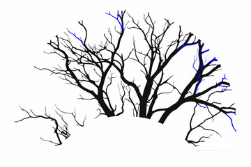 Fototapeta premium Detailed illustration of a twisted bare tree with intricate branches highlighting natural beauty