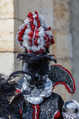 Disguised Person - Annecy Venetian Carnival 2013