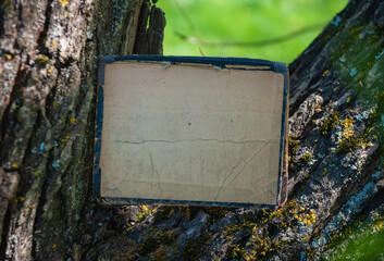 Vintage empty paper lies on the old wooden texture