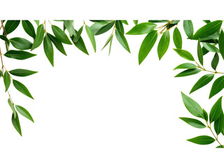 Vibrant green leaf frame, a natural border for ecoconscious designs and natureinspired projects