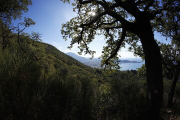 Fototapeta premium Sunny day in Montenegro, near Bar Fall 2023