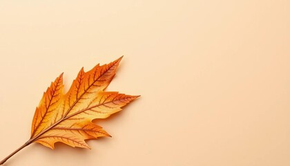 Blank beige card with single dry autumn leaf on beige background, top view, invitation, copy space